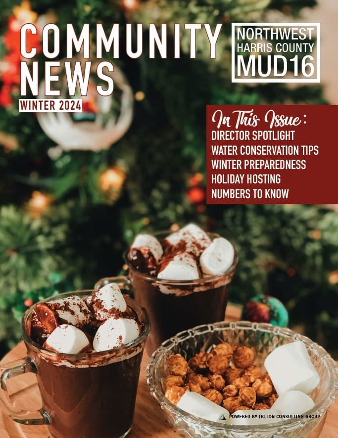 Winter Newsletter Cover - NWHCMUD16